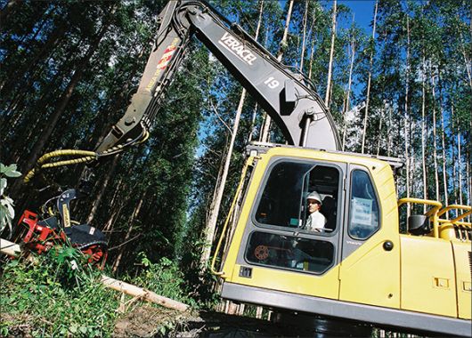 Veracel Celulose divulga edital para contratação de monitor de planejamento florestal.