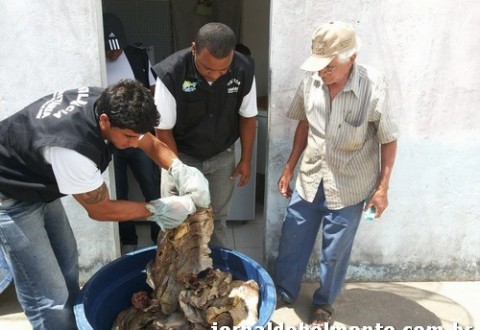 ADAB fiscaliza açougues em busca de carnes de animais mortos por intoxicação.