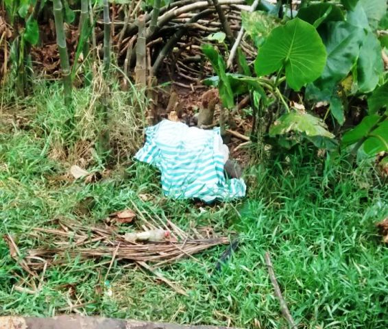 Policia Civil prende suspeito que teria matado mulher encontrada na Prainha.
