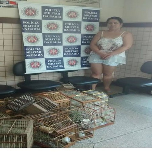 Mulher considerada a líder do tráfico em Cabrália é presa em ação policial.