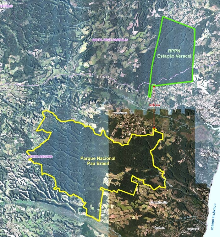 Ações de conservação ambiental da Veracel serão temas de estudos em pós-doutorado.