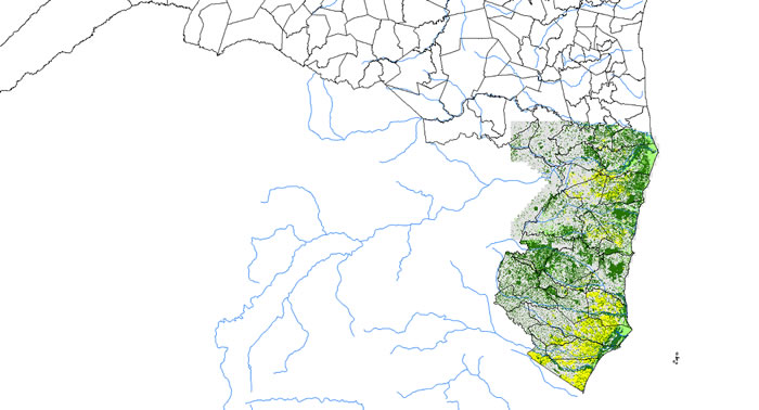 Monitoramento da evolução da cobertura vegetal da Mata Atlântica é divulgado.