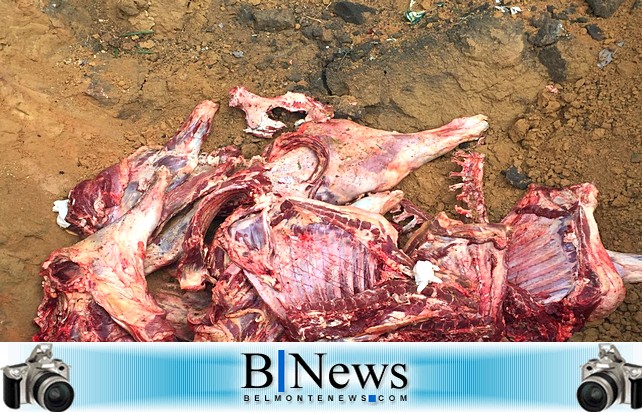 ADAB realiza operação e apreende mais de 01 tonelada de carne ilegal em Porto Seguro.