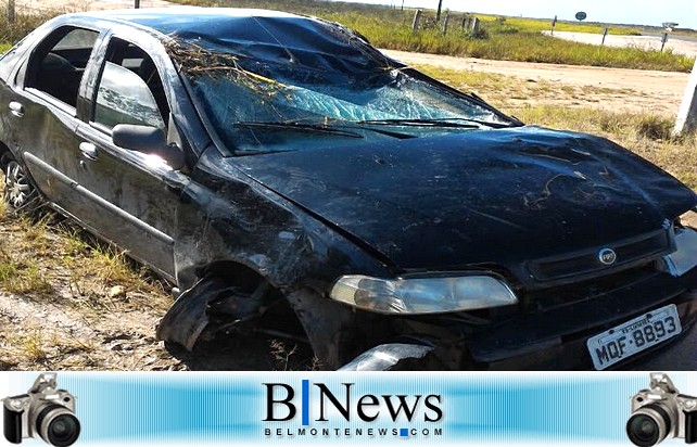 Belmonte registra mais um acidente causado por animais soltos em rodovia.
