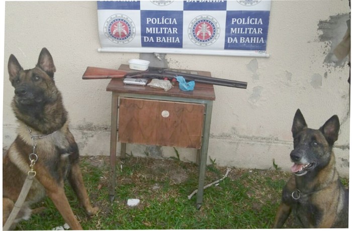 Cães farejadores do 8°BPM auxiliam na prisão de traficantes.