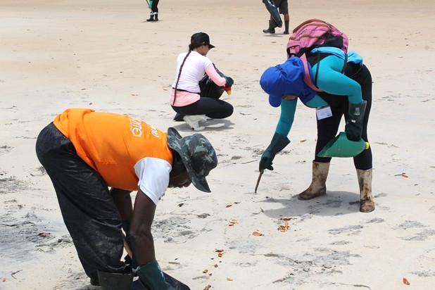 Voluntários e autoridades em Belmonte lutam para recolher manchas de óleo das praias.