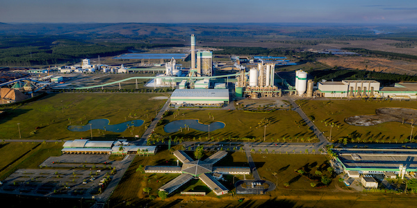 Veracel Celulose apresenta boas práticas de gestão ambiental