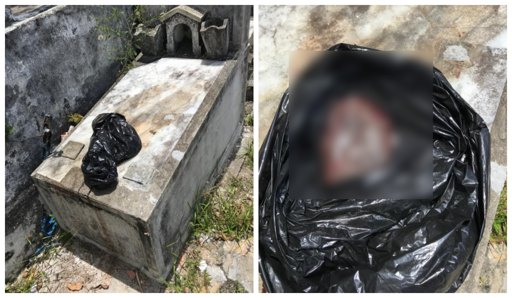 Placenta humana abandonada é encontrada no Cemitério de Belmonte.