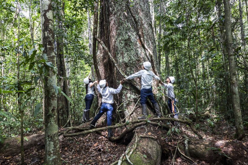 Veracel destaca seu compromisso com a proteção das florestas e recursos hídricos da Bahia